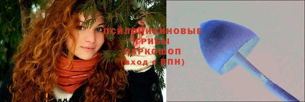 индика Армянск